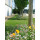 Blumenwiese "Unter Bäumen" 30m²